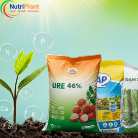 Phân Đơn Nutriplant