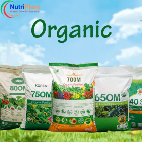 Hữu Cơ Nhập Nutriplant