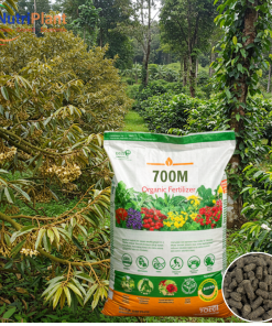 HỮU CƠ BỈ NUTRIPLANT
