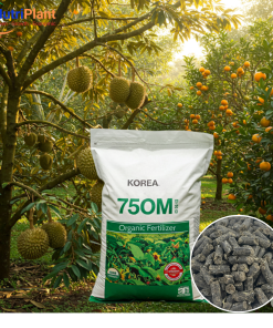 HỮU CƠ HÀN QUỐC NUTRIPLANT