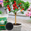 HỮU CƠ NHẬT BỘT NUTRIPLANT