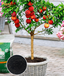 HỮU CƠ NHẬT BỘT NUTRIPLANT