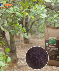 Hữu cơ HUMIC cho cây điều-NUTRIPLANT