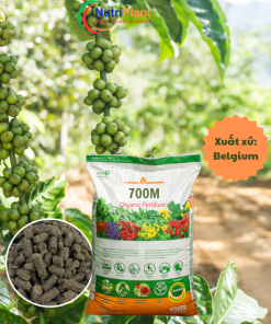 HỮU CƠ BỈ 70OM NUTRIPLANT