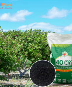 HC Nhật bột cho cây điều-NUTRIPLANT