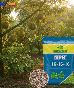 NPK 16-16-16 Nga - NUTRIPLANT