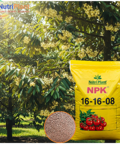 NPK 16-16-08 Nga - NUTRIPLANT
