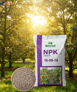 NPK 19-09-19 Nga - NUTRIPLANT