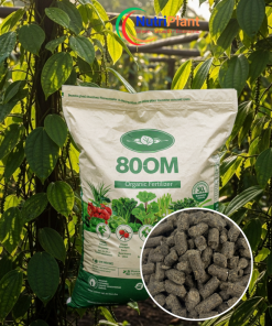 HỮU CƠ BỈ 80OM - NUTRIPLANT