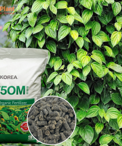 HỮU CƠ HÀN QUỐC 75OM - NUTRIPLANT