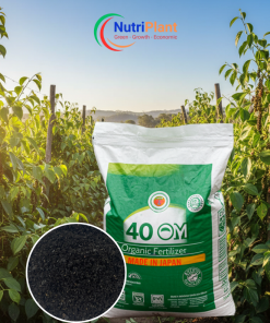 HỮU CƠ NHẬT BỘT - NUTRIPLANT