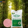 NPK 20-10-8+13S - NUTRIPLANT