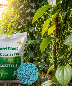 NPK 20-5-6+13S - NUTRIPLANT