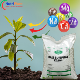Trung Vi Lượng Nutriplant