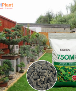 HỮU CƠ HÀN QUỐC NUTRIPLANT