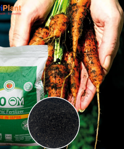 HC NHẬT BỘT NUTRIPLANT